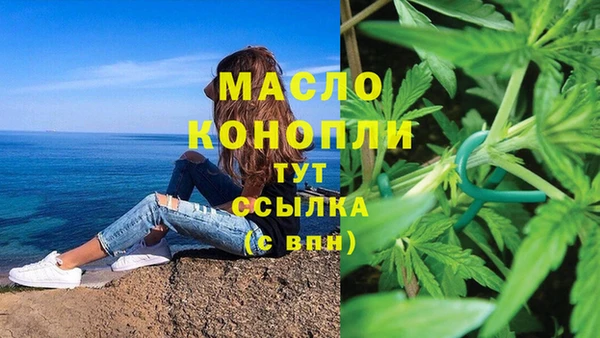 твердый Бердск