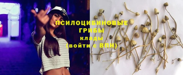 jwh Мегион
