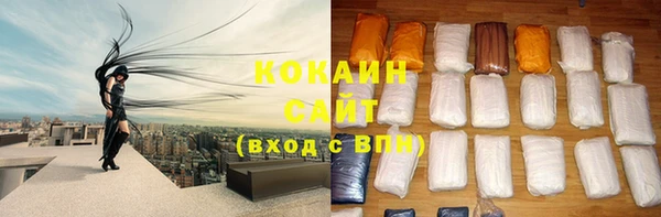твердый Бердск