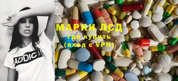 твердый Бердск