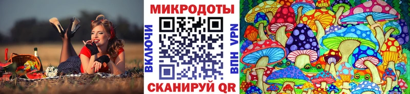 где купить наркоту  Курск  кракен зеркало  Галлюциногенные грибы Cubensis 