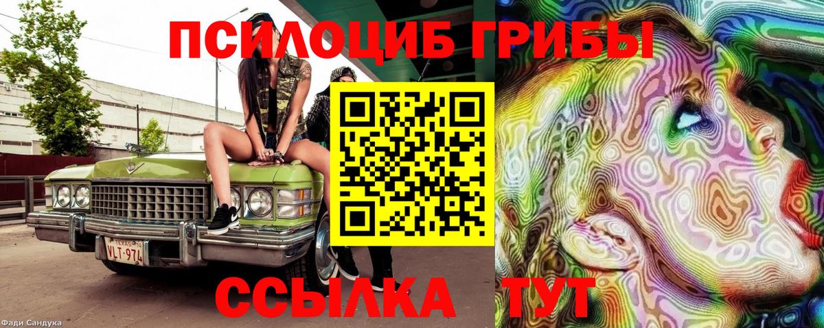 Галлюциногенные грибы Magic Shrooms Курск