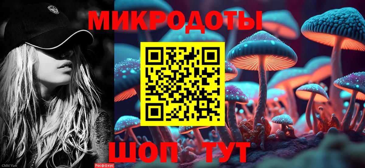 Псилоцибиновые грибы Cubensis  Вход с VPN  Курск 
