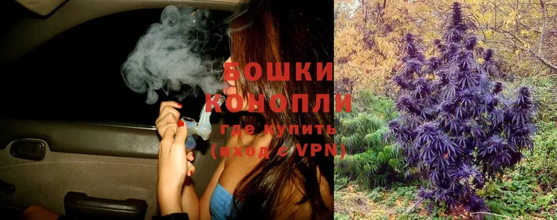 купить закладку  Курск  Конопля SATIVA & INDICA 